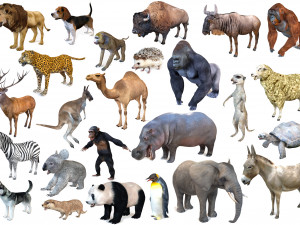 25 rigged zoo animals collection Modello 3D