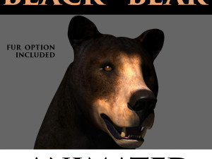 3d animated black bear Modello 3D