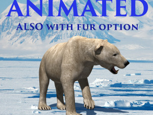 3d animated polar bear Modello 3D