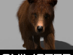 3d animated wild bear Modello 3D