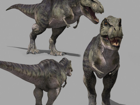 Accurate T Rex 8K - fully animated Modello 3D
