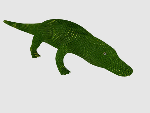 Alligator Modello 3D