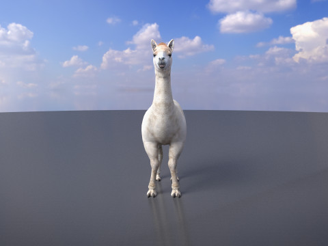 Alpaca Modello 3D