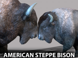American steppe bison low-poly Modello 3D