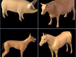 animal collection Modello 3D