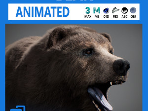 Animated Bear Modello 3D