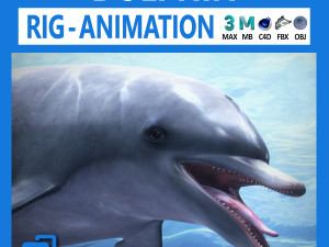 animated bottlenose dolphin Modello 3D