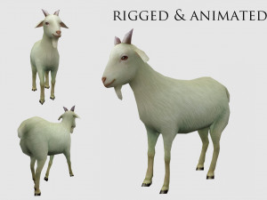 Animated goat sheep Modello 3D