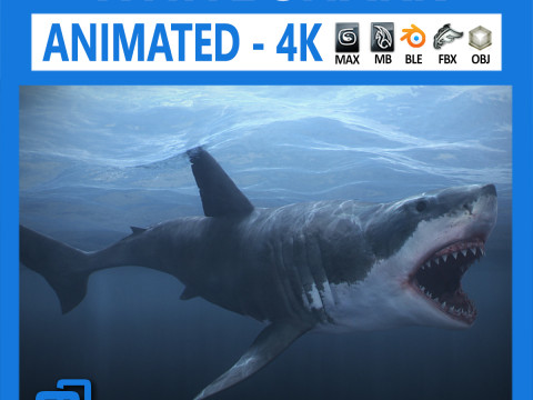 Animated great white shark Modello 3D