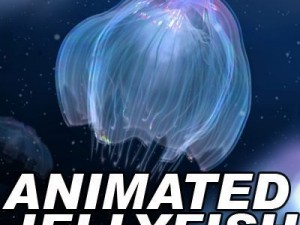 animated jellyfish Modello 3D