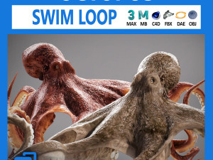 Animated octopus v2 Modello 3D