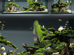 aquarium snail king Modello 3D