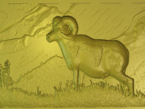 argalia-pano Modello 3D