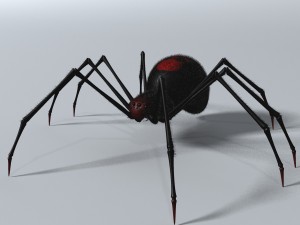 black spider rigged Modello 3D