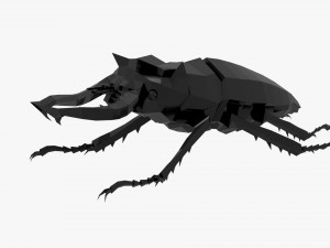 Bug low poly Modello 3D