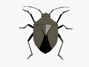 Bug low poly Modello 3D