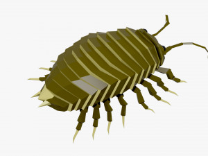 Bug low poly Modello 3D