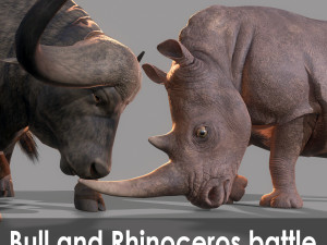 Bull and rhinoceros battle low-poly Modello 3D