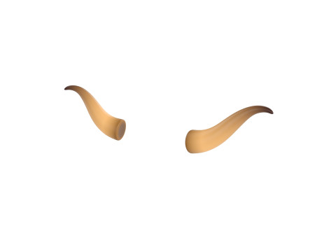 Bull Horn 2 Modello 3D