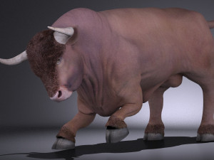 Bull Rigged for 3dsmax Modello 3D