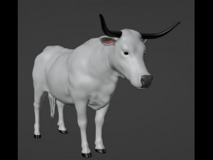 Bull White Modello 3D
