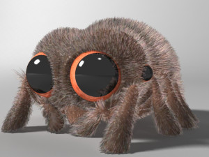 cartoon spider rigged Modello 3D
