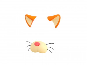 cat face Modello 3D