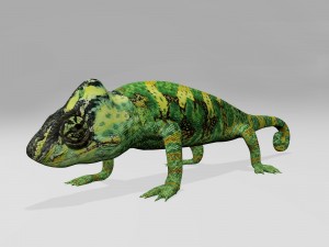 Chameleon Modello 3D