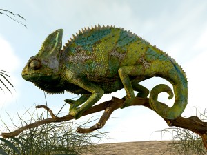 chameleon lizard realistic high poly Modello 3D