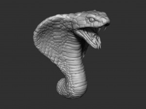 cobra head Modello 3D