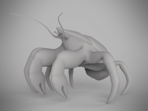 coconut crab Modello 3D