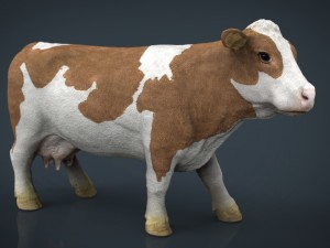 cow 2 Modello 3D