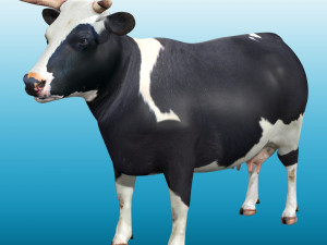 Cow Low poly Rig Modello 3D