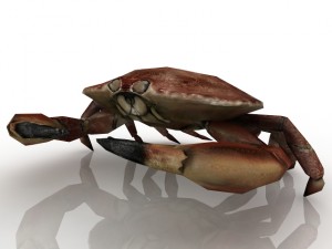 crab Modello 3D