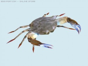 crab Modello 3D