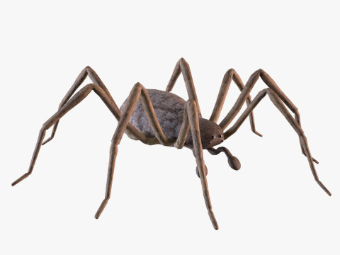 Crab spider Modello 3D