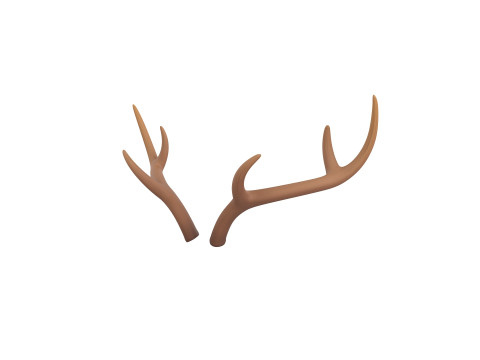 Deer Antler Modello 3D