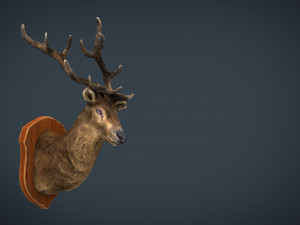 deer trophy Modello 3D