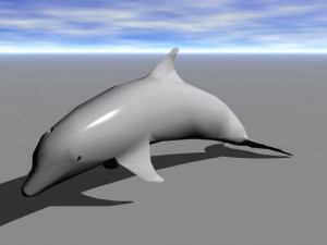 dolphin Modello 3D