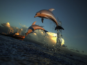 dolphin Modello 3D
