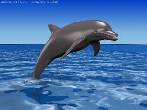 dolphin Modello 3D
