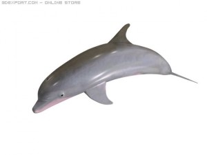 dolphin Modello 3D
