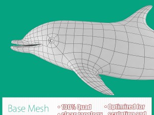 dolphin base mesh Modello 3D