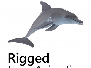 dolphin rigged jump animation Modello 3D