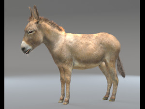 donkey pony hair fur rigged low poly animal Modello 3D