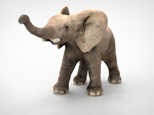 elephant Modello 3D