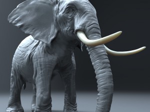 elephant high poly Modello 3D