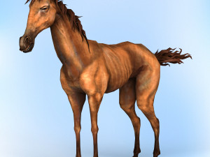 fantasy horse Modello 3D