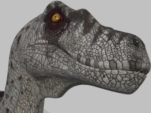 female alpha raptor - 8k Modello 3D