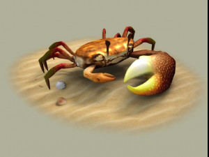 Fiddler crabs Hai River crabs hairy crabs shells oceans Modello 3D